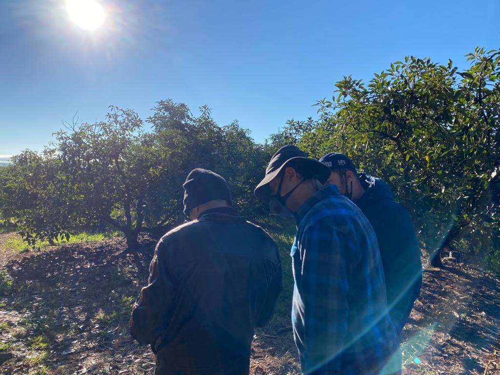 WhatsApp Image 2022-07-11 at 11.37.20 AM.jpeg