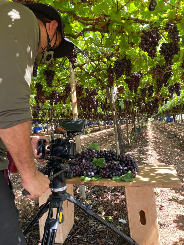 WhatsApp Image 2022-07-11 at 11.40.02 AM.jpeg